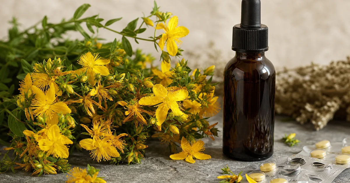 Blühendes Johanniskraut mit leuchtend gelben Blüten neben einem dunklen Braunglas-Tinkturfläschchen und einer angeschnittenen Tablettenblisterpackung auf grauem Stein