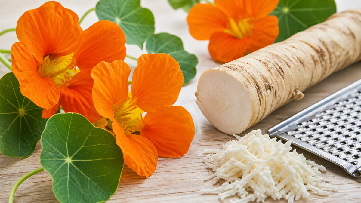 Frische orange Kapuzinerkressenblüten und eine aufgeschnittene Meerrettichwurzel auf einem hellen Holztisch
